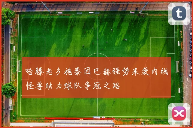 哈滕老乡施泰因巴赫强势来袭内线怪兽助力球队争冠之路